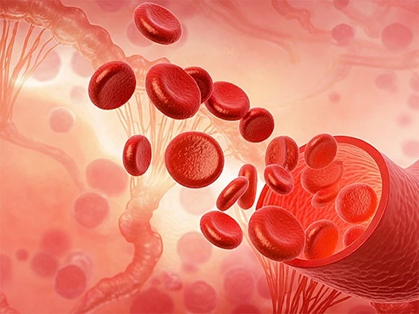 Folic Acid Benefits Folic Acid Benefits